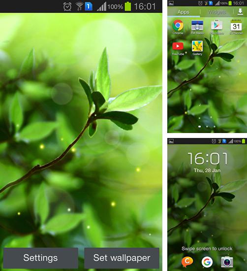 Download live wallpaper Spring buds for Android. Get full version of Android apk livewallpaper Spring buds for tablet and phone.