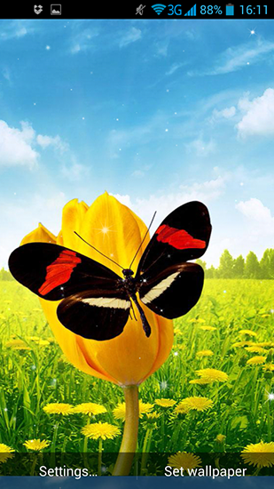Spring butterflies - бесплатно скачать живые обои на Андроид телефон или планшет.