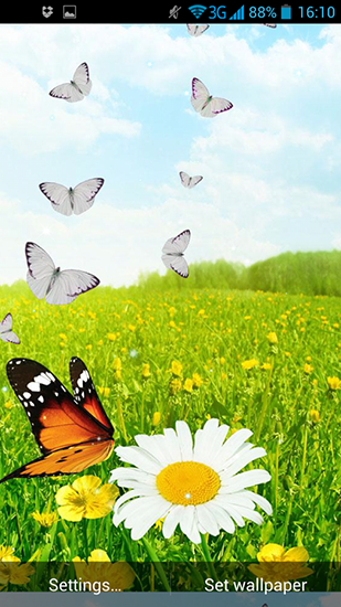 Spring butterflies für Android spielen. Live Wallpaper Schmetterlinge im Frühling kostenloser Download.