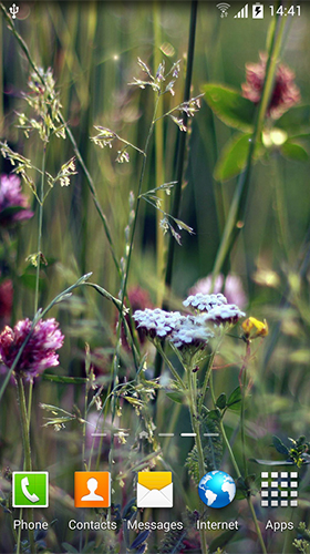 Capturas de pantalla de Spring by Amax LWPS para tabletas y teléfonos Android.