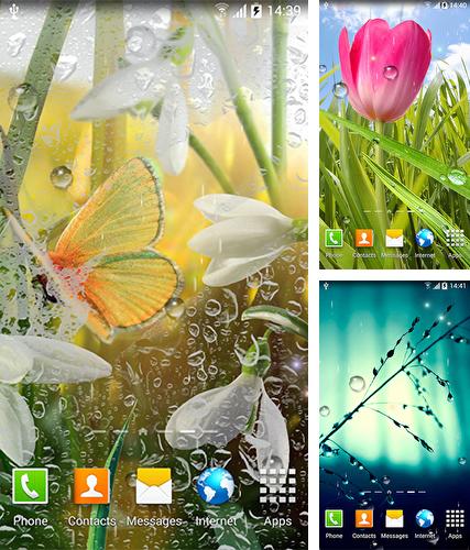 Télécharger le fond d'écran animé gratuit Printemps . Obtenir la version complète app apk Android Spring by Amax LWPS pour tablette et téléphone.