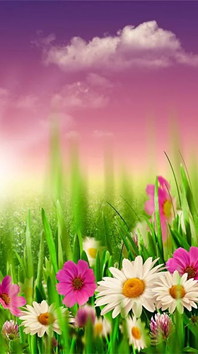 Spring by HQ Awesome Live Wallpaper
