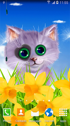 Spring cat