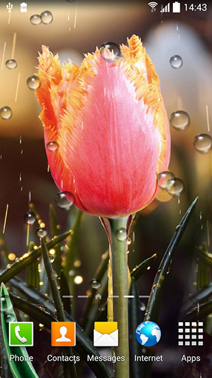 Screenshots of the Spring flowers 3D for Android tablet, phone.