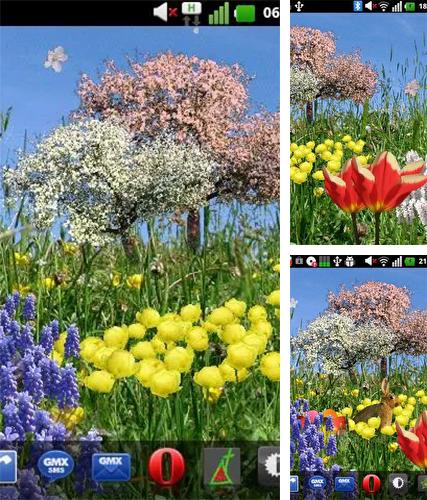 Kostenloses Android-Live Wallpaper Frühlingsblumen. Vollversion der Android-apk-App Spring flowers by SoundOfSource für Tablets und Telefone.