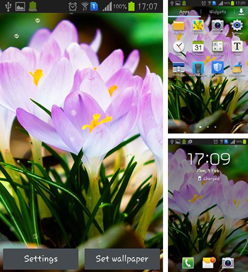 Дополнительно к живым обоям на Андроид телефоны и планшеты Романтика, вы можете также бесплатно скачать заставку Spring flowers: Rain.