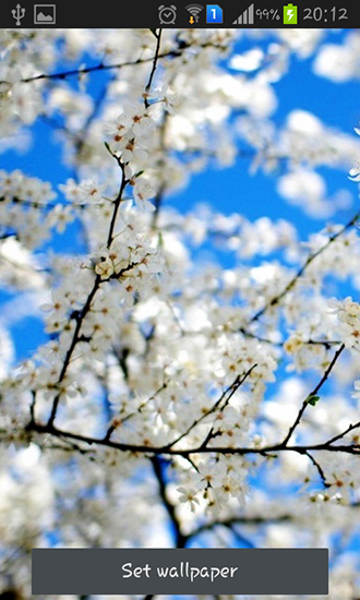 Download Spring is coming - livewallpaper for Android. Spring is coming apk - free download.