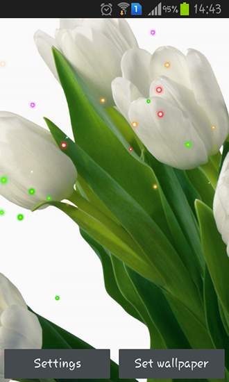 Springs lilie and tulips - бесплатно скачать живые обои на Андроид телефон или планшет.