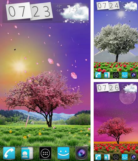 Kostenloses Android-Live Wallpaper Frühlingsbäume. Vollversion der Android-apk-App Spring trees für Tablets und Telefone.
