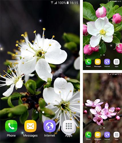 Descarga gratuita fondos de pantalla animados Primavera para Android. Consigue la versión completa de la aplicación apk de Springtime para tabletas y teléfonos Android.