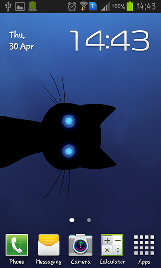 Descargar Stalker cat para Android gratis. El fondo de pantalla animados  Gato acosador en Android.