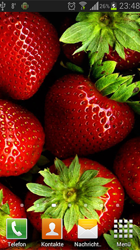 Strawberry by Neygavets