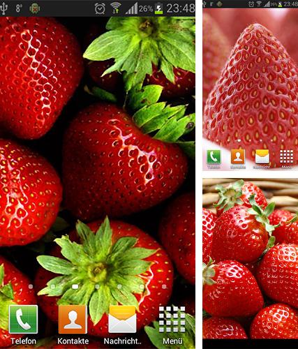 Strawberry by Neygavets - бесплатно скачать живые обои на Андроид телефон или планшет.