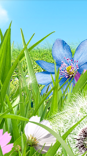 Screenshots of the Summer flowers for Android tablet, phone.