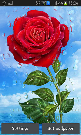 Download livewallpaper Summer rain: Flowers for Android. Get full version of Android apk livewallpaper Summer rain: Flowers for tablet and phone.