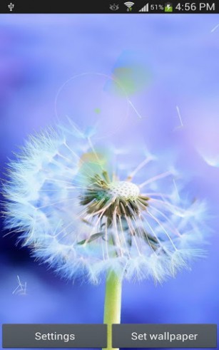 Download livewallpaper Sun and dandelion for Android. Get full version of Android apk livewallpaper Sun and dandelion for tablet and phone.