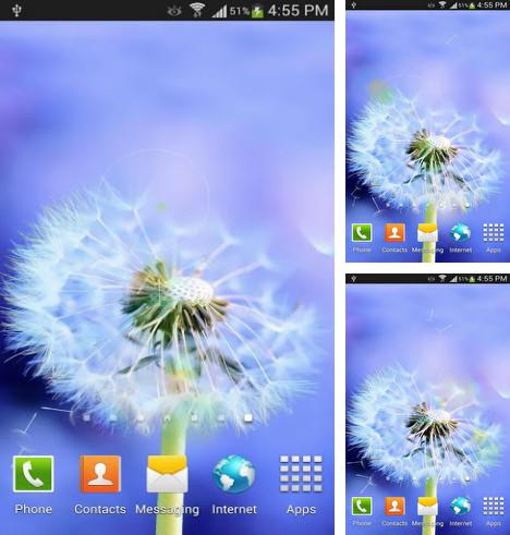 Kostenloses Android-Live Wallpaper Sonne und Pusteblume. Vollversion der Android-apk-App Sun and dandelion für Tablets und Telefone.