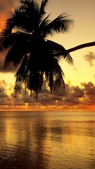 Sun Rise für Android spielen. Live Wallpaper Sonnenaufgang kostenloser Download.