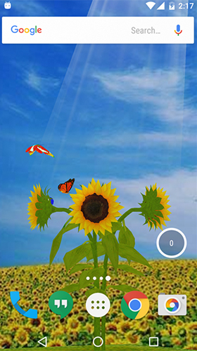 Sunflower 3d Live Wallpaper For Android Sunflower 3d Free Download For Tablet And Phone