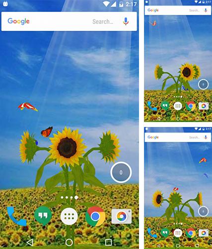 Kostenloses Android-Live Wallpaper Sonnenblume 3D. Vollversion der Android-apk-App Sunflower 3D für Tablets und Telefone.