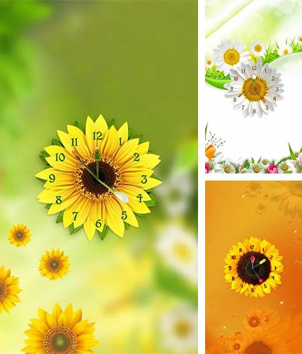 Kostenloses Android-Live Wallpaper Sonnenblumenuhr. Vollversion der Android-apk-App Sunflower clock für Tablets und Telefone.