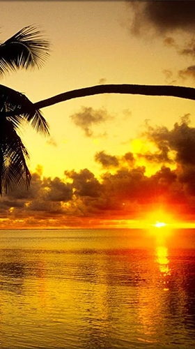 Sunrise by Live Wallpaper HD 3D live wallpaper for Android. Sunrise by Live  Wallpaper HD 3D free download for tablet and phone.