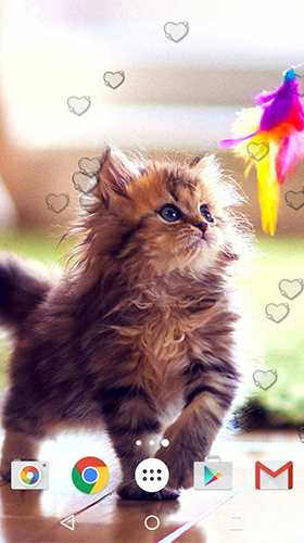 Screenshots of the Сute kittens for Android tablet, phone.