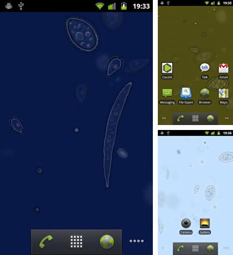 Télécharger le fond d'écran animé gratuit Les cellules d`eau  . Obtenir la version complète app apk Android SwampWater pour tablette et téléphone.