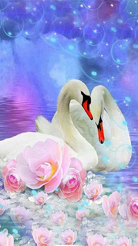 Swans by SweetMood