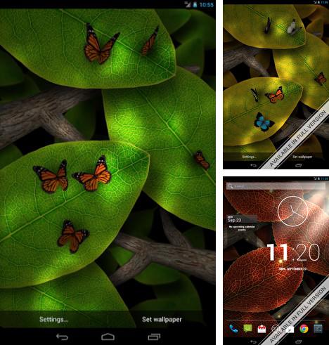 Kostenloses Android-Live Wallpaper Tipp die Blätter an. Vollversion der Android-apk-App Tap leaves für Tablets und Telefone.