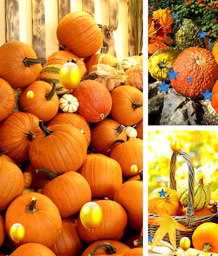 Download live wallpaper Thanksgiving by Fantastic Live Wallpapers for Android. Get full version of Android apk livewallpaper Thanksgiving by Fantastic Live Wallpapers for tablet and phone.