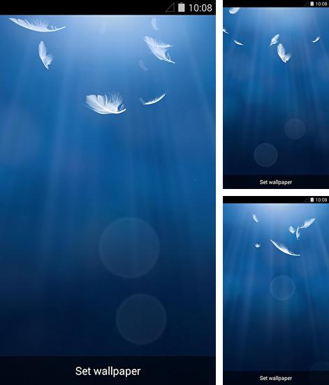 Además de fondo de pantalla animados Llas olas del mar para teléfonos y tabletas Android, también puedes descargarte gratis The wing.