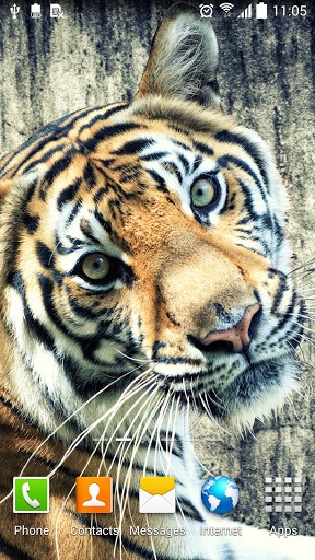 Tiger by Amax LWPS - бесплатно скачать живые обои на Андроид телефон или планшет.