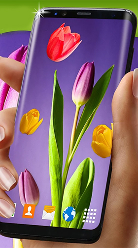 Tulips by 3D HD Moving Live Wallpapers Magic Touch Clocks