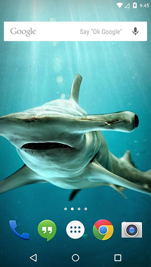 Écrans de Underwater animals pour tablette et téléphone Android.