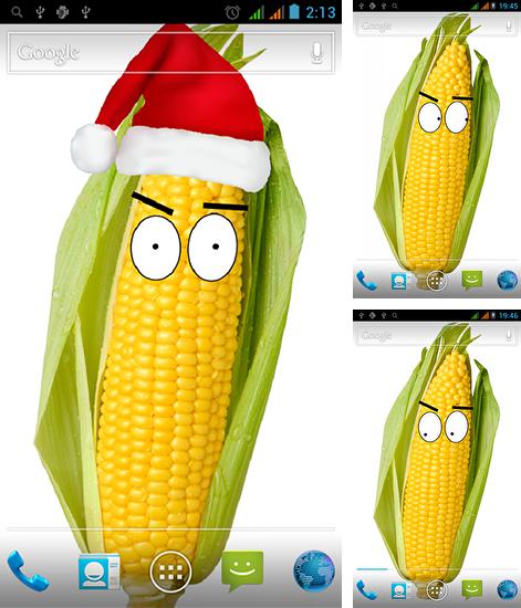 Zusätzlich zum Live Wallpaper Teddy Br: Liebe 3D für Android Mobiltelefone und Tablets, können Sie auch Watching corn, Beobachtender Mais kostenlos herunterladen.