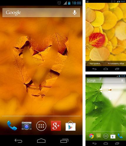 Misted screen HD - бесплатно скачать живые обои на Андроид телефон или планшет.