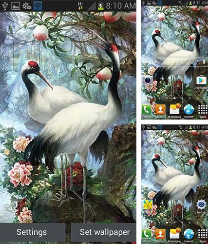 Kostenloses Android-Live Wallpaper Weiße Vögel. Vollversion der Android-apk-App White birds für Tablets und Telefone.