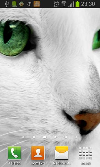 Screenshots of the White cats for Android tablet, phone.