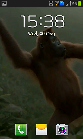 Скриншот Wild dance crazy monkey. Скачать живые обои на Андроид планшеты и телефоны.