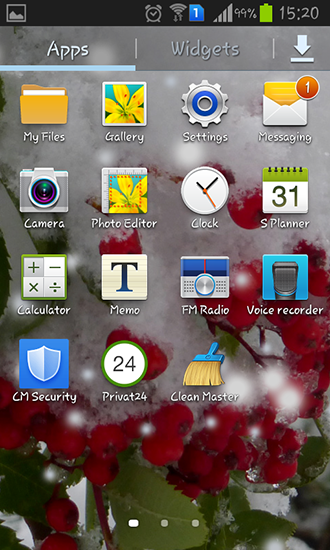 Screenshots of the Winter berry for Android tablet, phone.