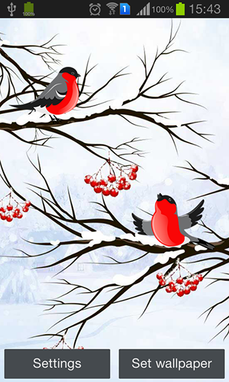 Download livewallpaper Winter: Bullfinch for Android. Get full version of Android apk livewallpaper Winter: Bullfinch for tablet and phone.