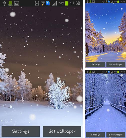 Kostenloses Android-Live Wallpaper Winterwald. Vollversion der Android-apk-App Winter forest für Tablets und Telefone.