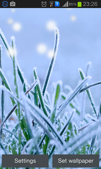 Kostenloses Android-Live Wallpaper Wintergras. Vollversion der Android-apk-App Winter grass für Tablets und Telefone.