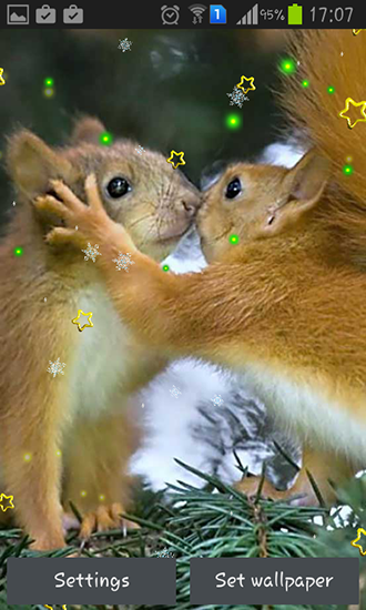 Descargar Winter squirrel para Android gratis. El fondo de pantalla  animados Ardilla de invierno en Android.