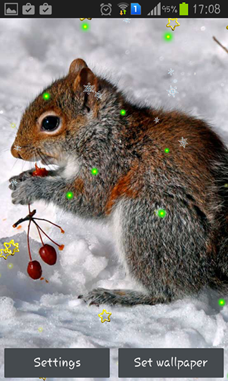Écrans de Winter squirrel pour tablette et téléphone Android.
