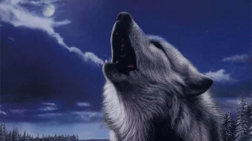 About Blue Moon Wolf Live Wallpaper Google Play version   Apptopia