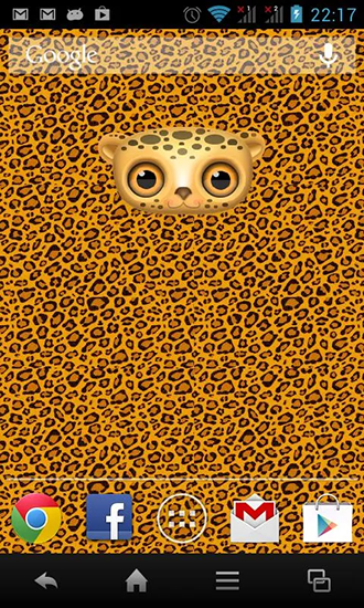 Zoo: Leopard