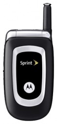 Descargar los temas para Motorola C290 gratis