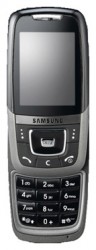 Descargar los temas para Samsung D600 gratis